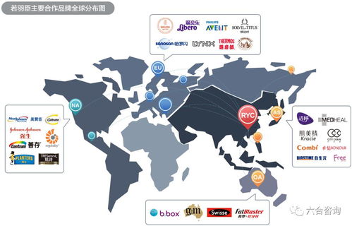 若羽臣拟IPO 以电商综合服务助力强生、美赞臣等全球优质品牌，赋能互联网销售