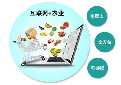 互联网+农产品 重塑农产品销售的新模式