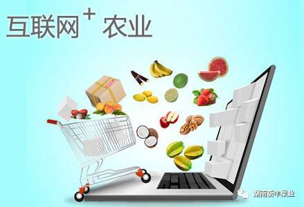 互联网+农业模式下农产品营销策略 破解销售困境的创新路径